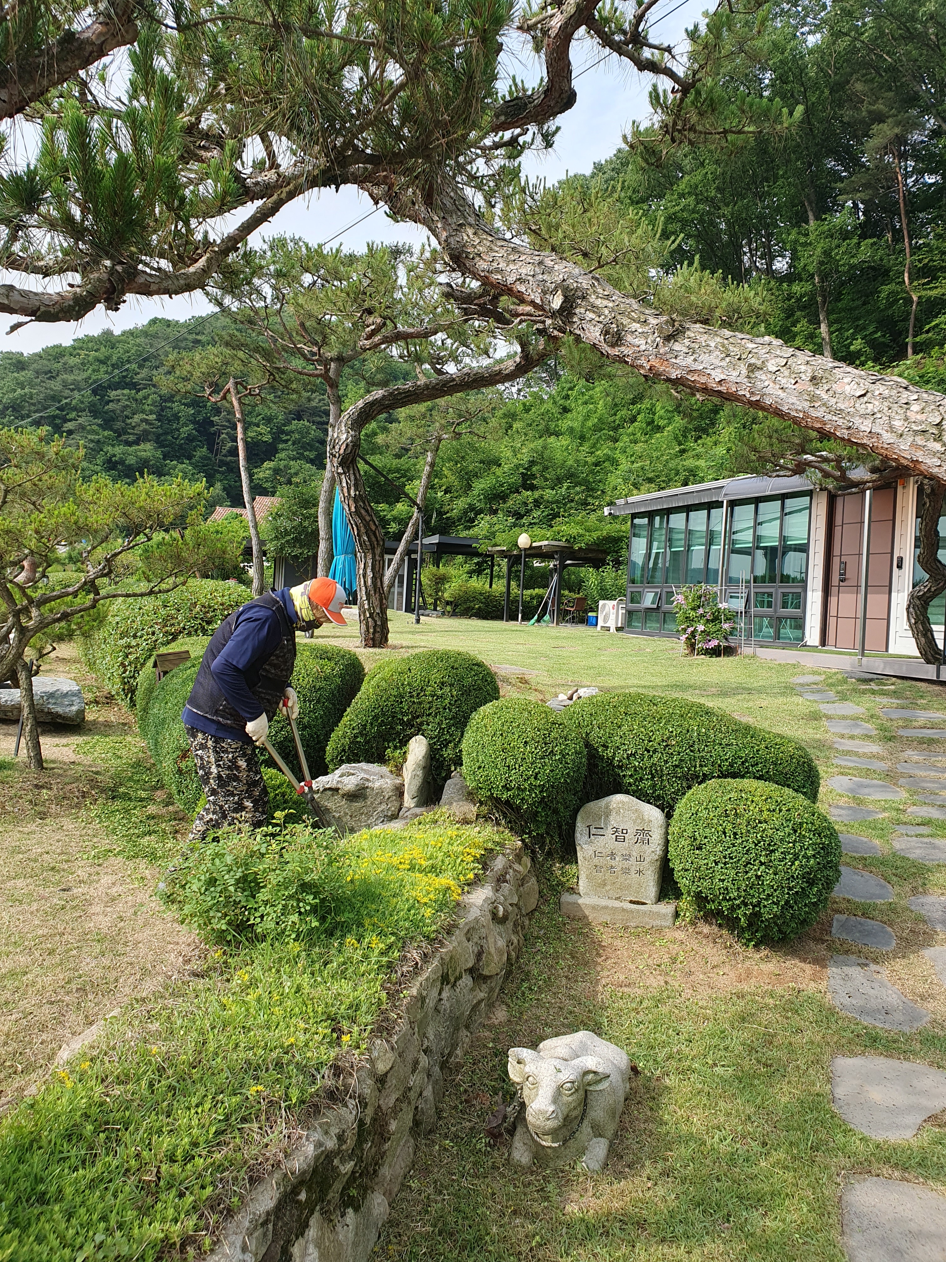 송림조경