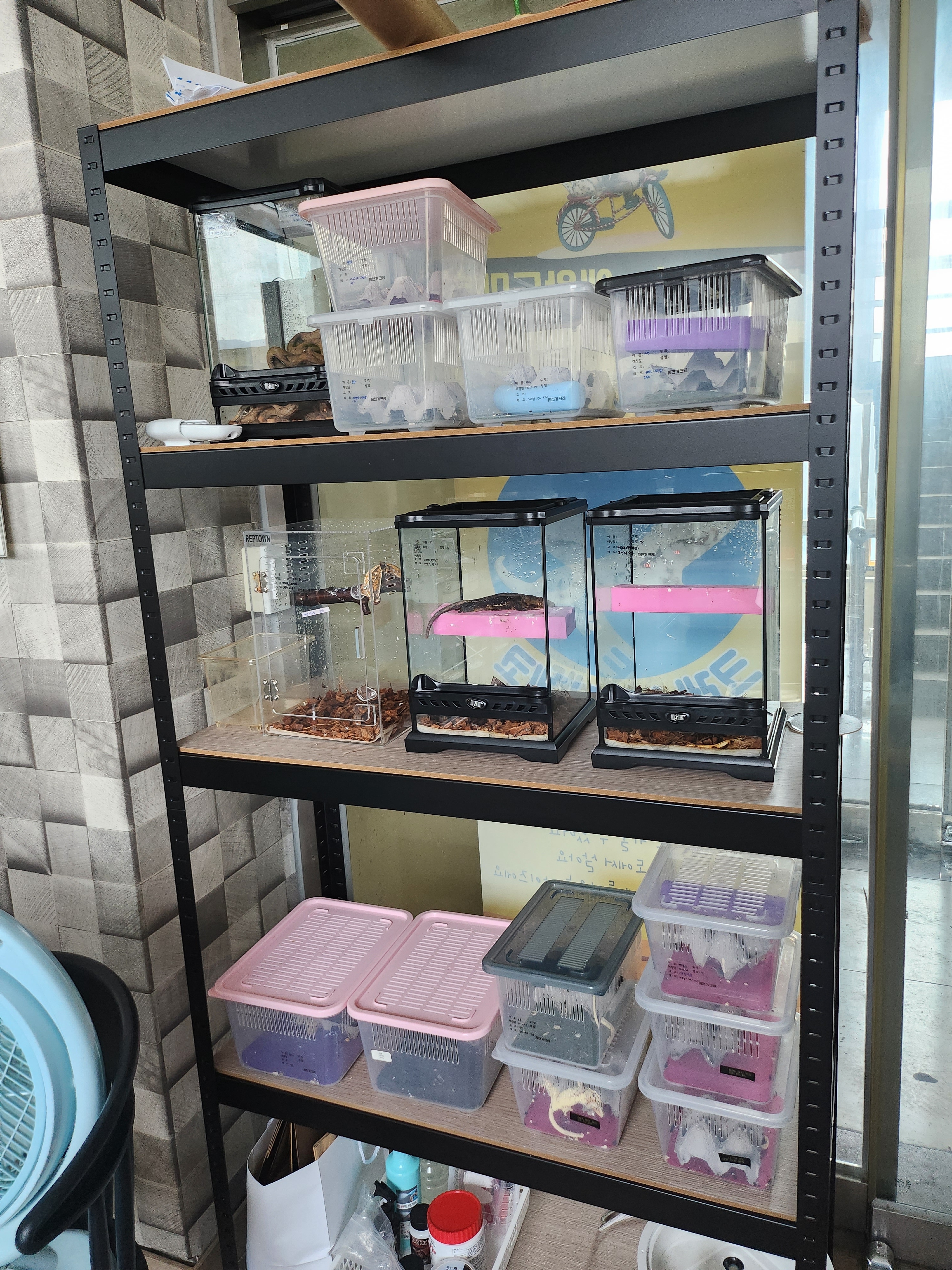 자전거크레 대표 이미지