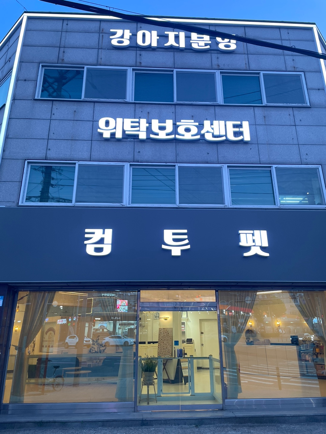컴투펫 강아지분양 고양이분양 인천본점