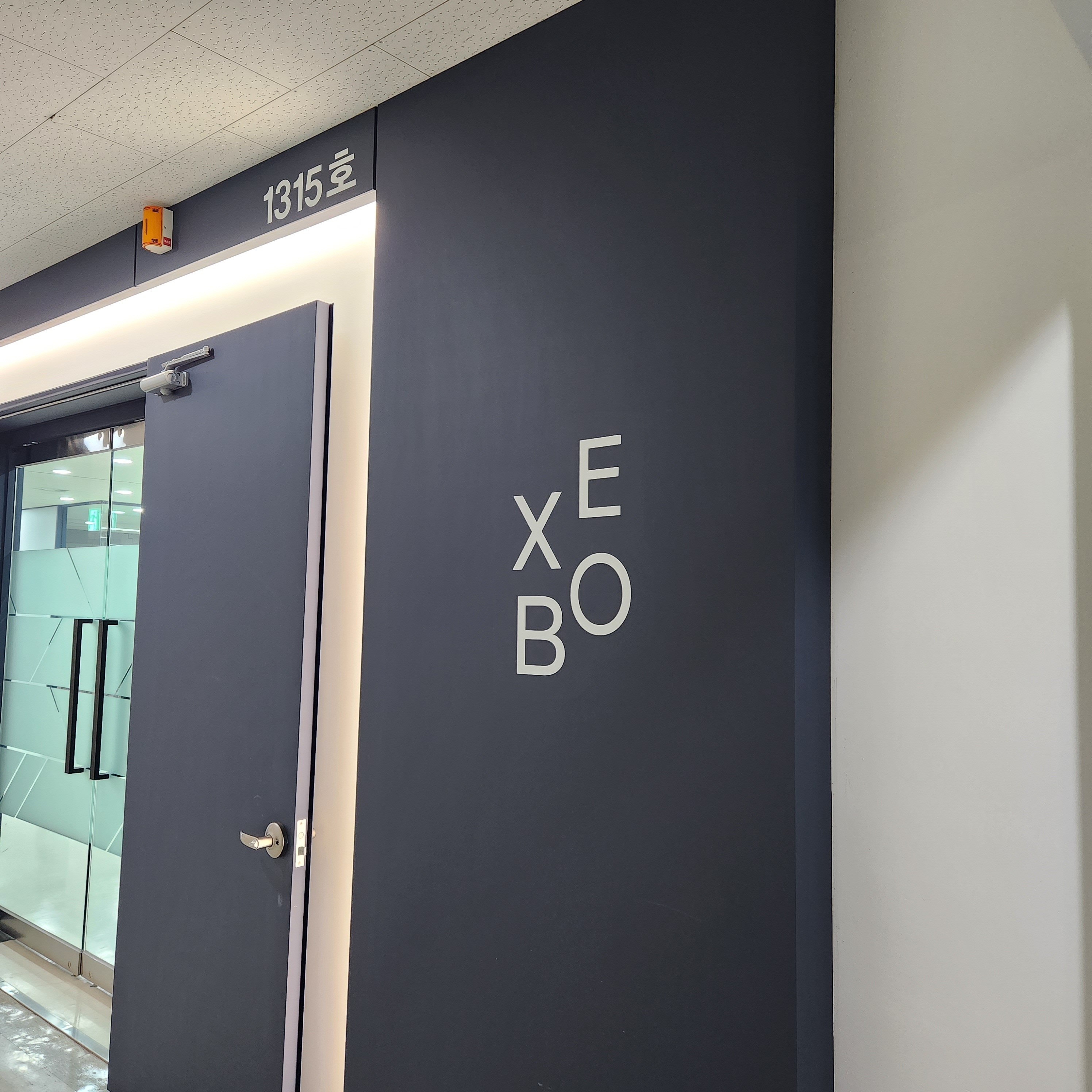 엑스오비