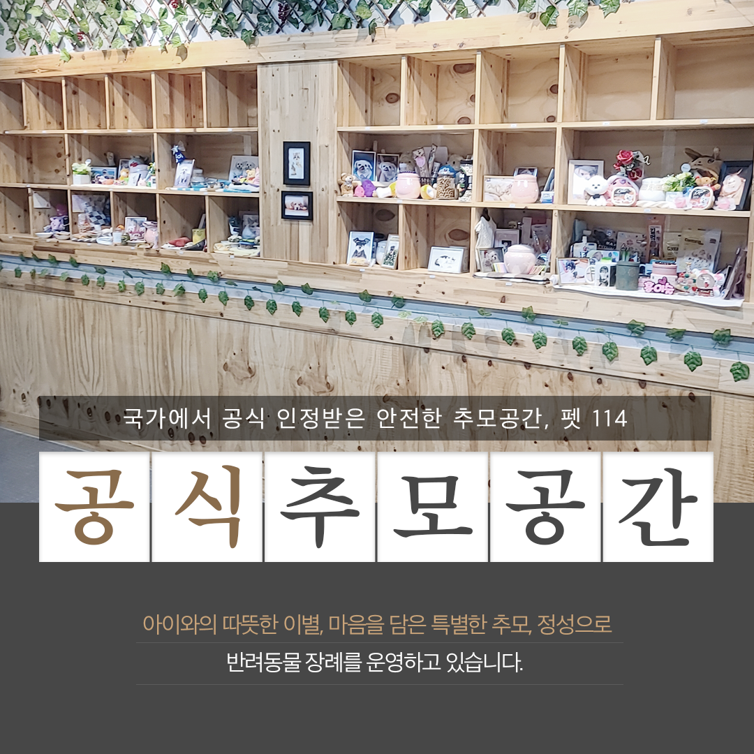 펫114