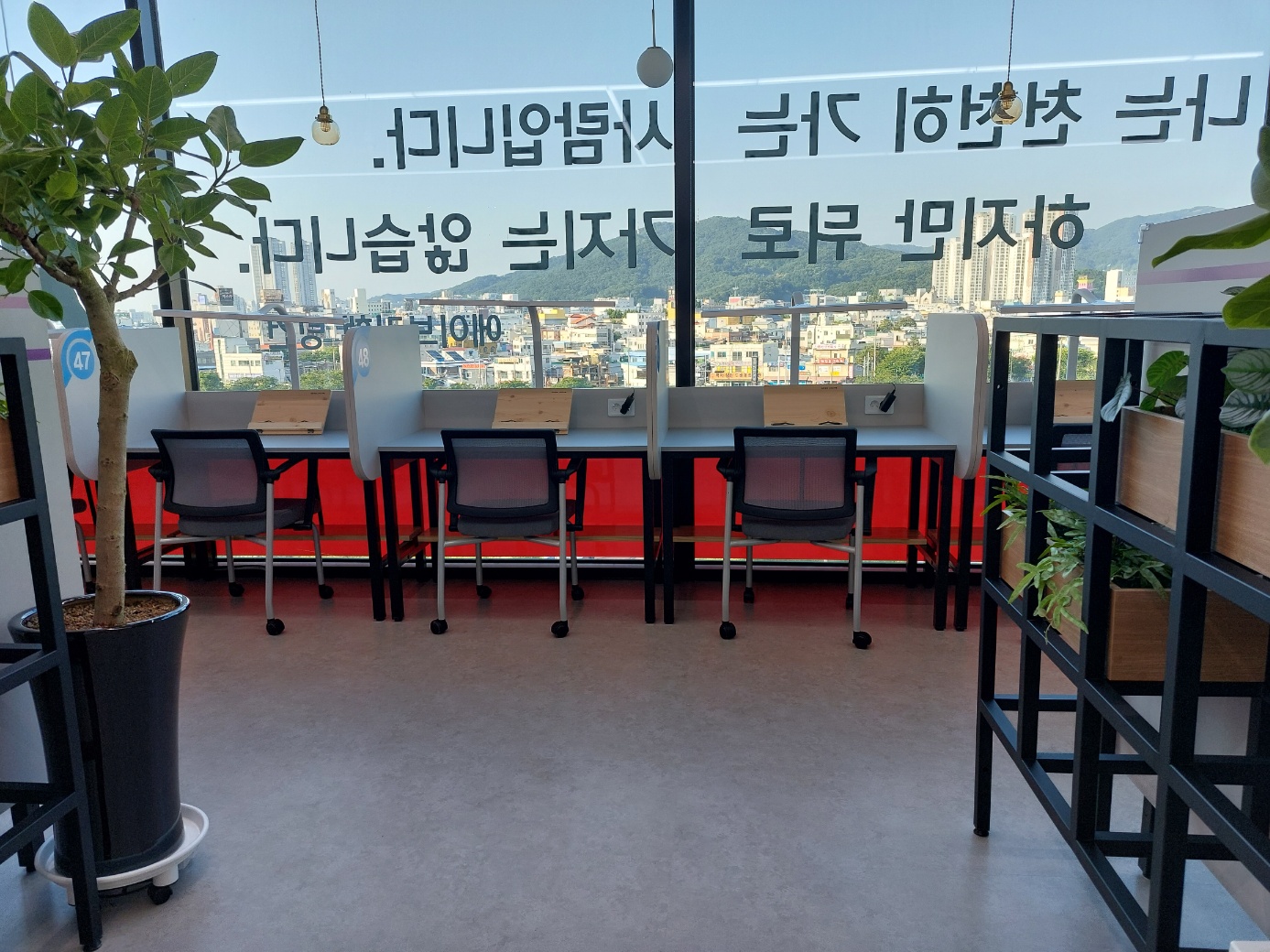 업체사진