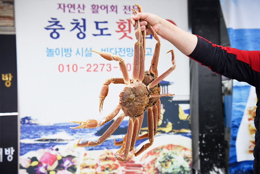 충청도횟집