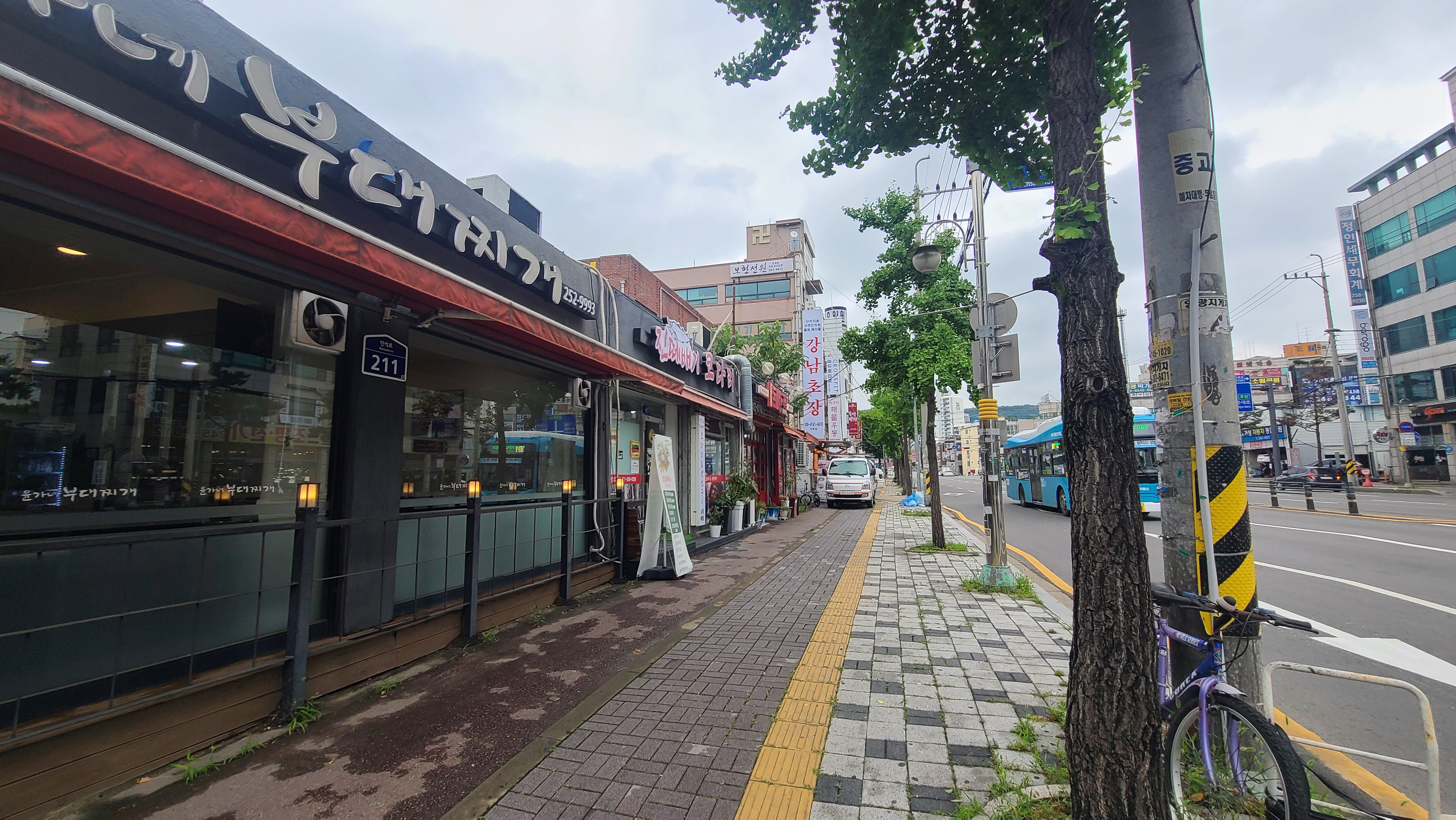 진떼배기