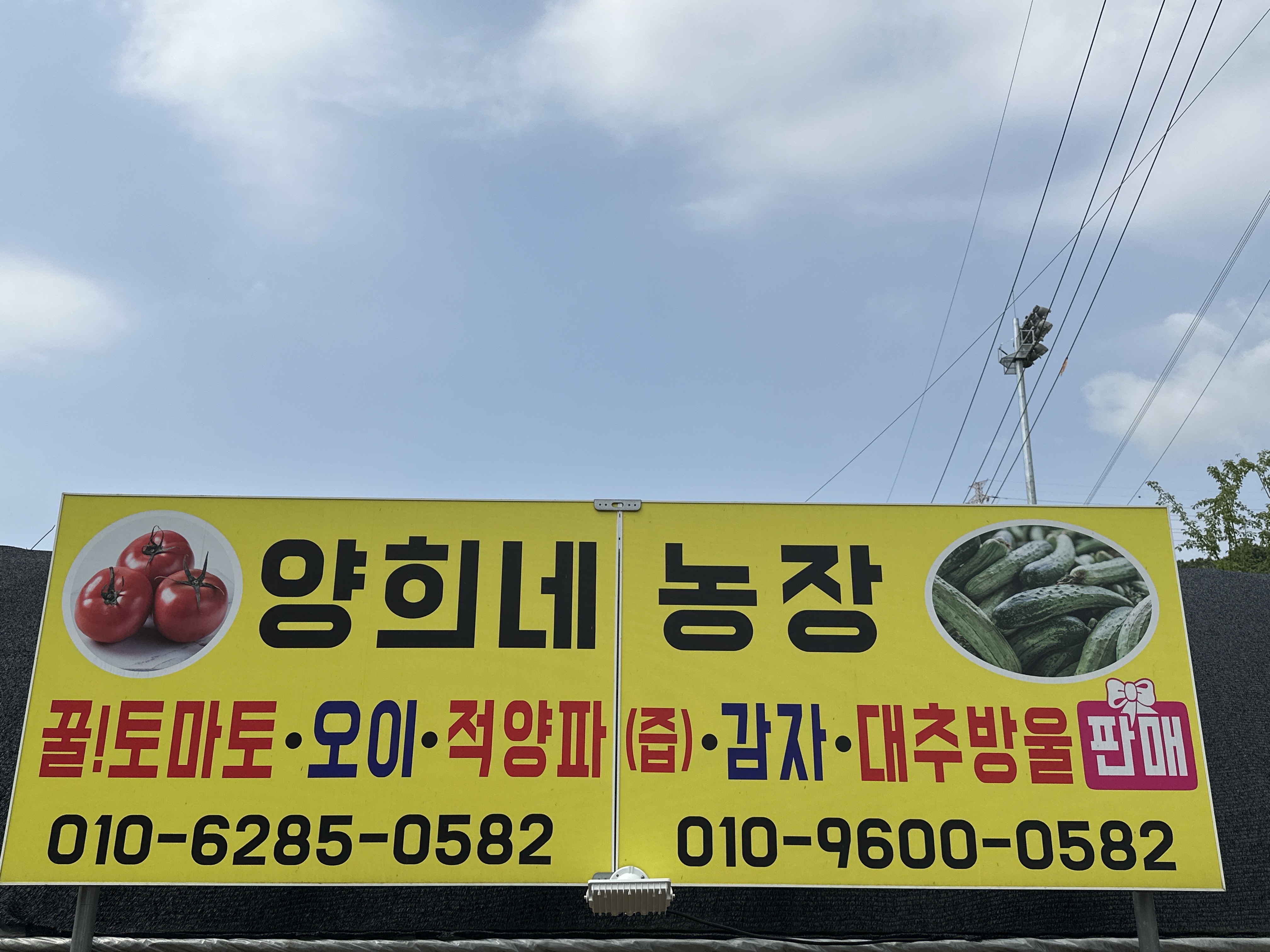 양희네농장