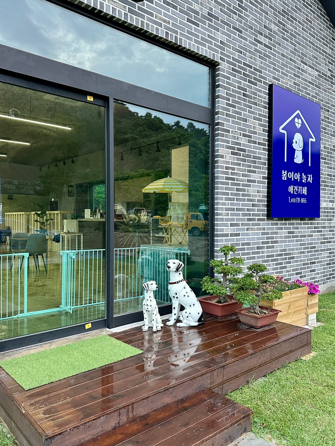 봄이야놀자 강원 애견맛집
