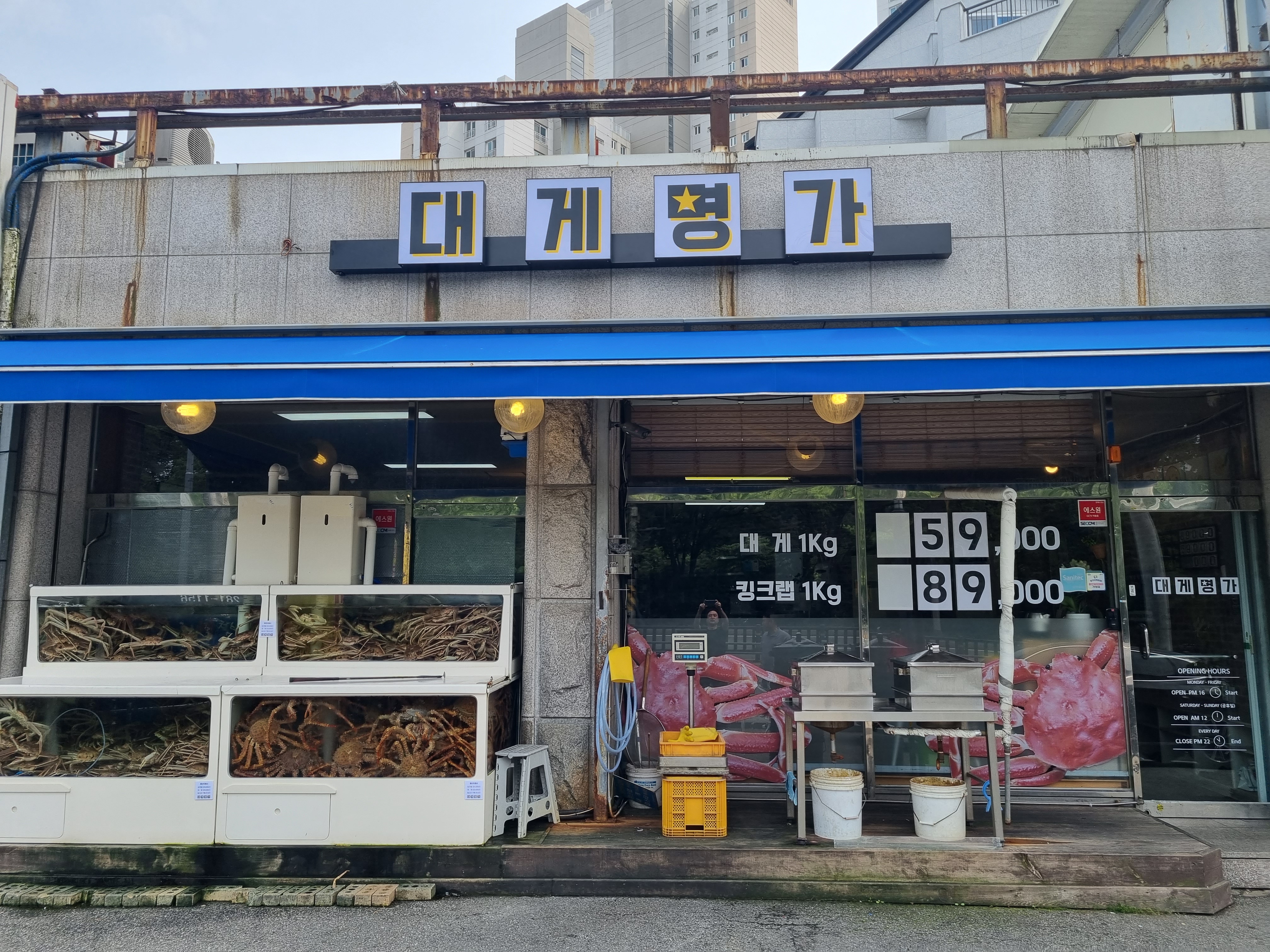 대게명가