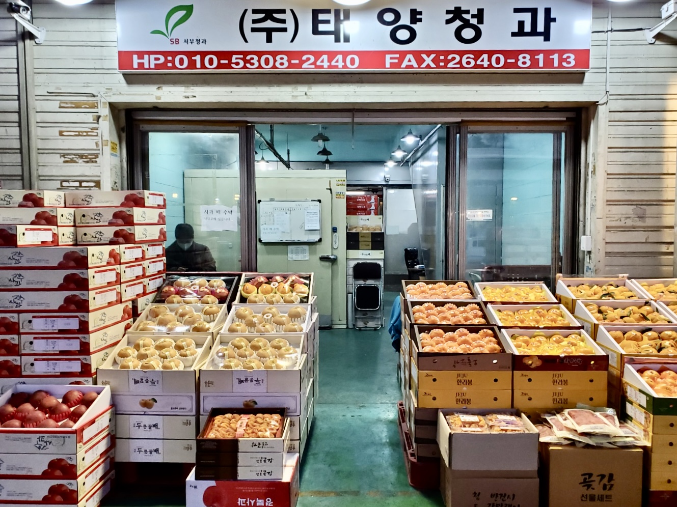 태양청과