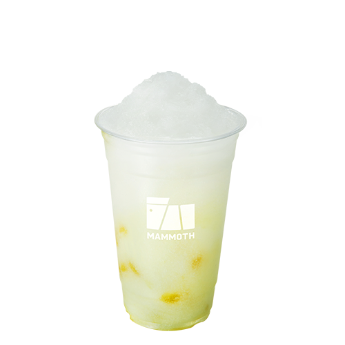 매머드익스프레스