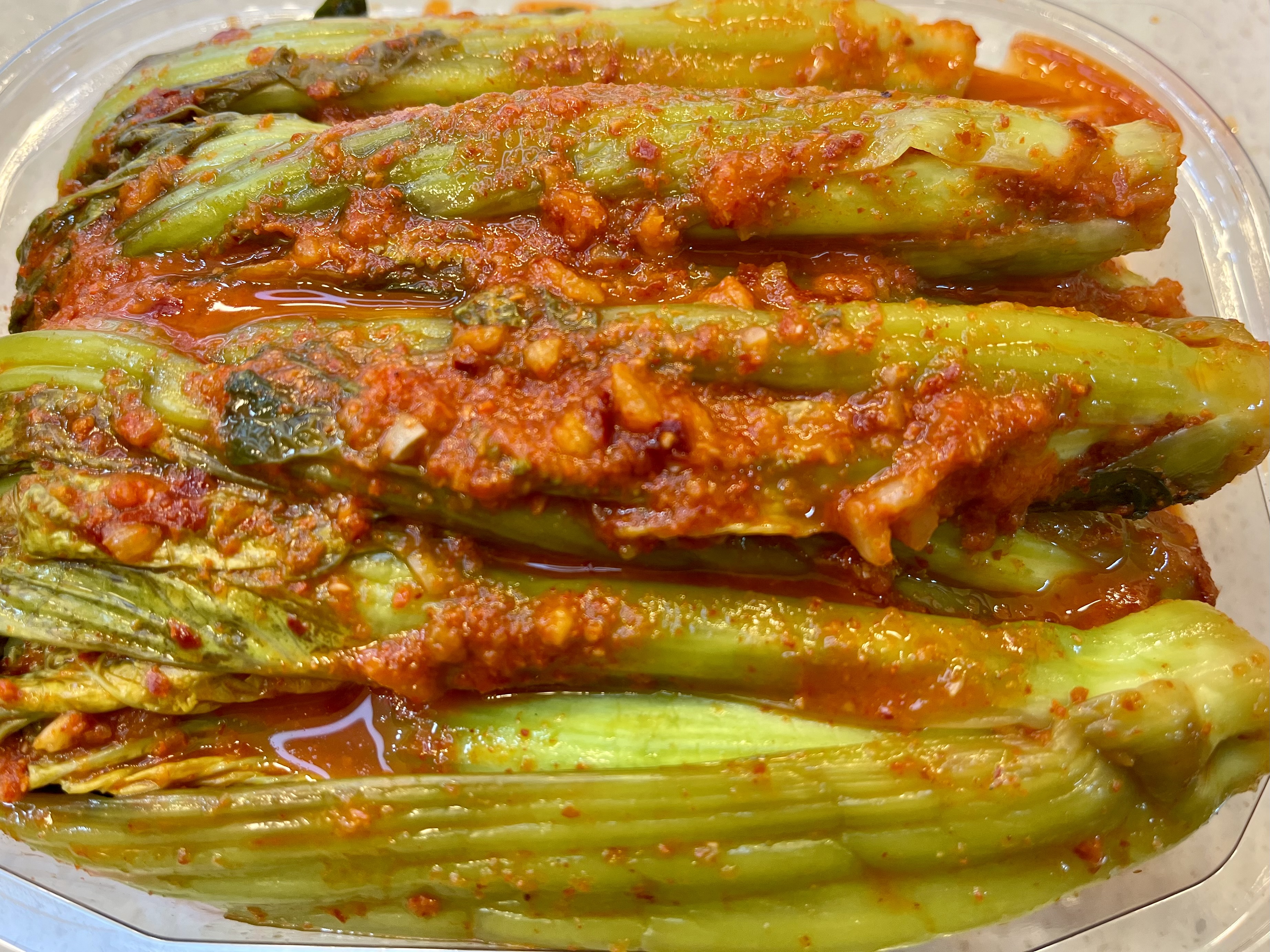 정성담은찬
