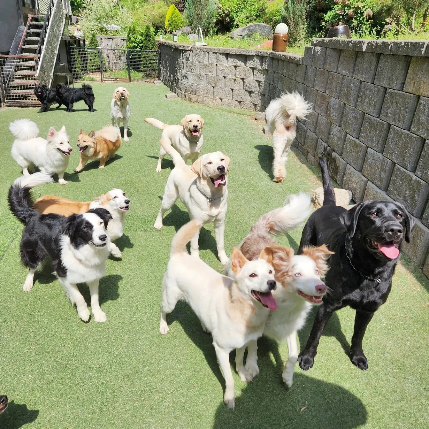 푼타하우스 대표 이미지