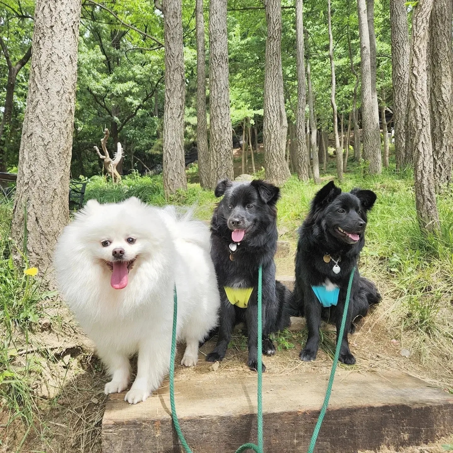 푼타하우스 대표 이미지