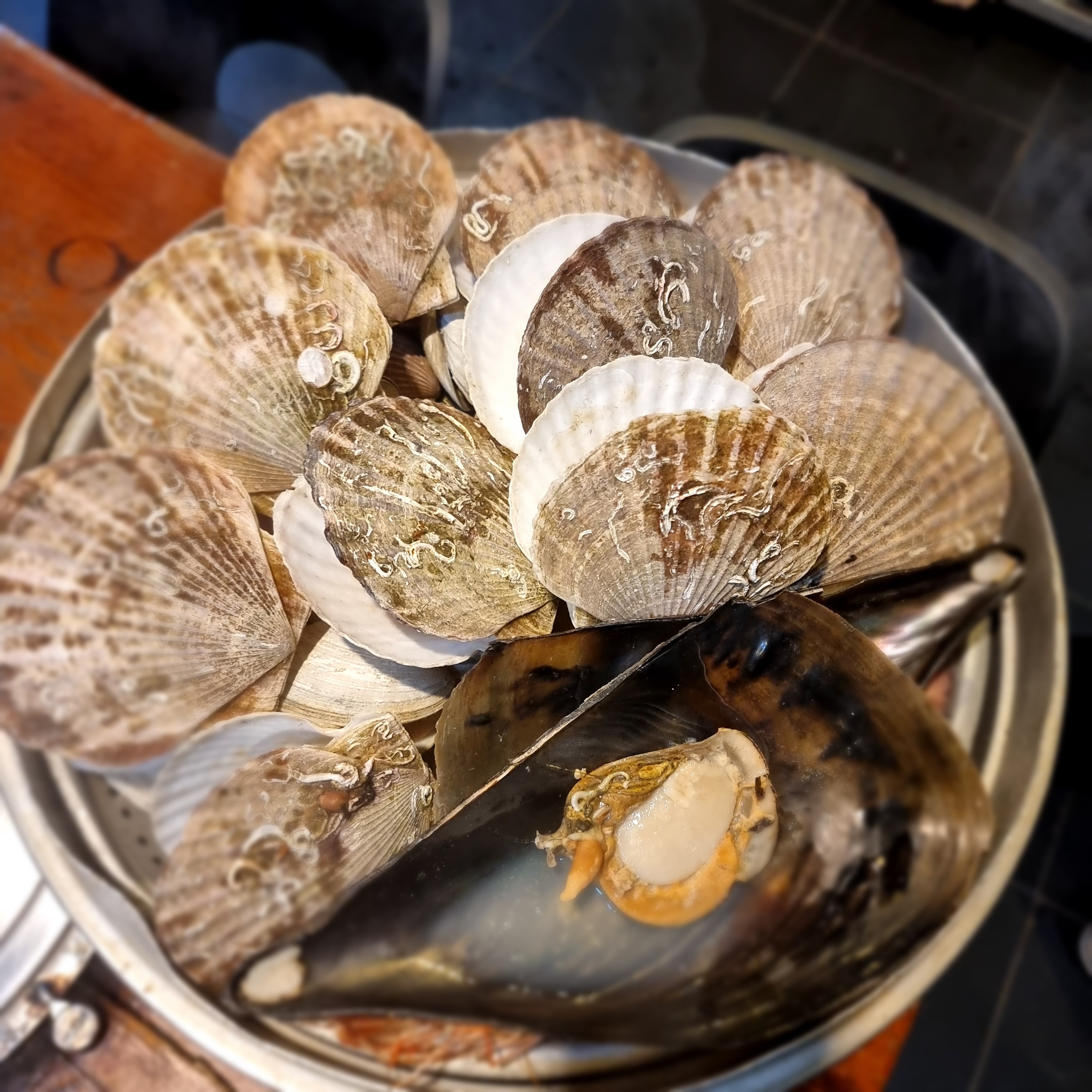 조군황군 부산동래점
