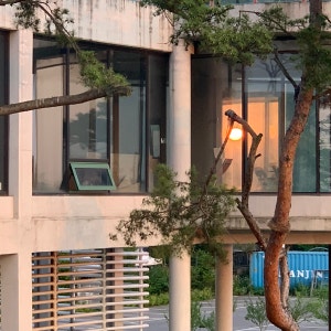 215카페캠핑장