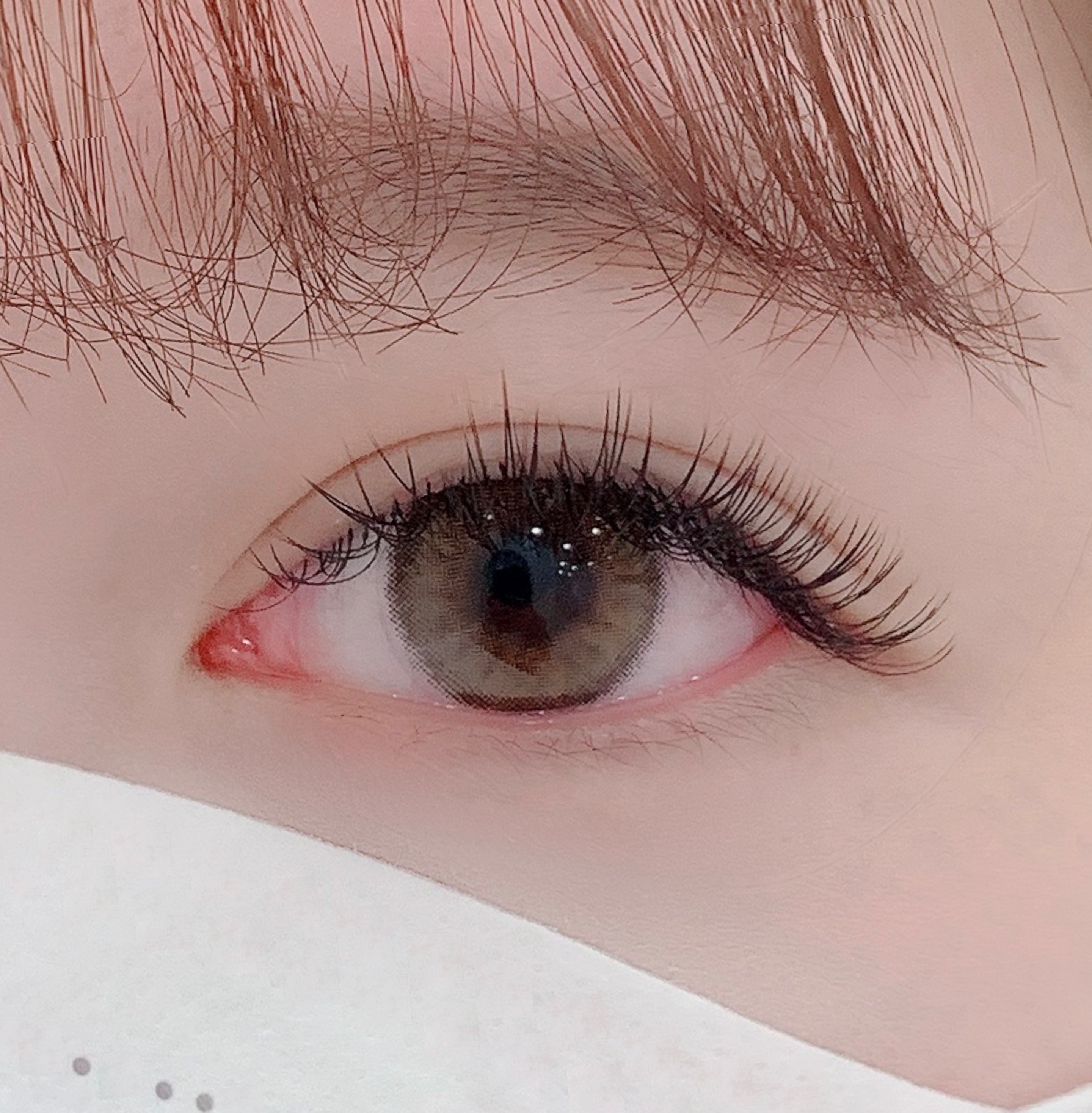 아끌래쉬