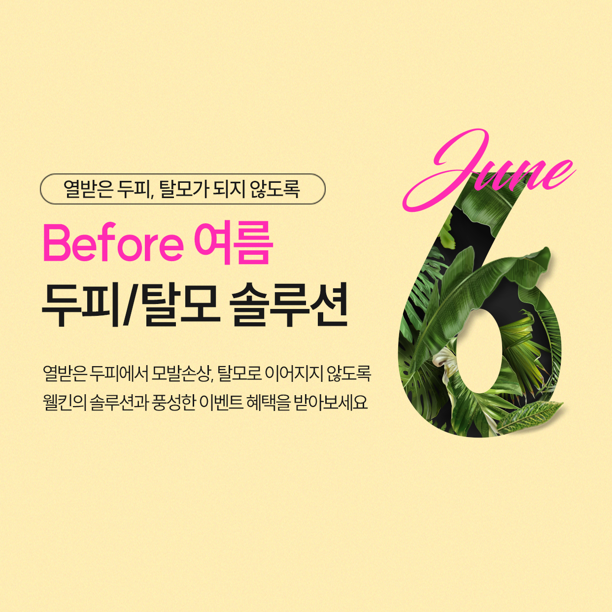 웰킨두피탈모센터 광명철산점