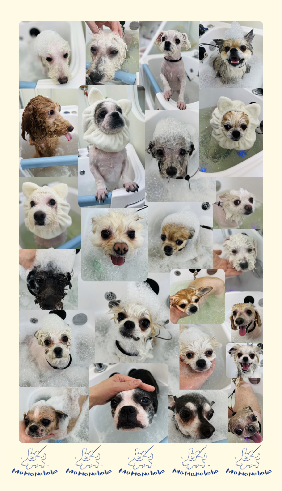 마마나바바 대표 이미지