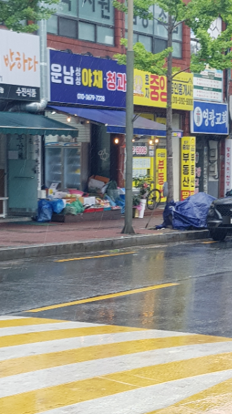 운남싱싱야채청과