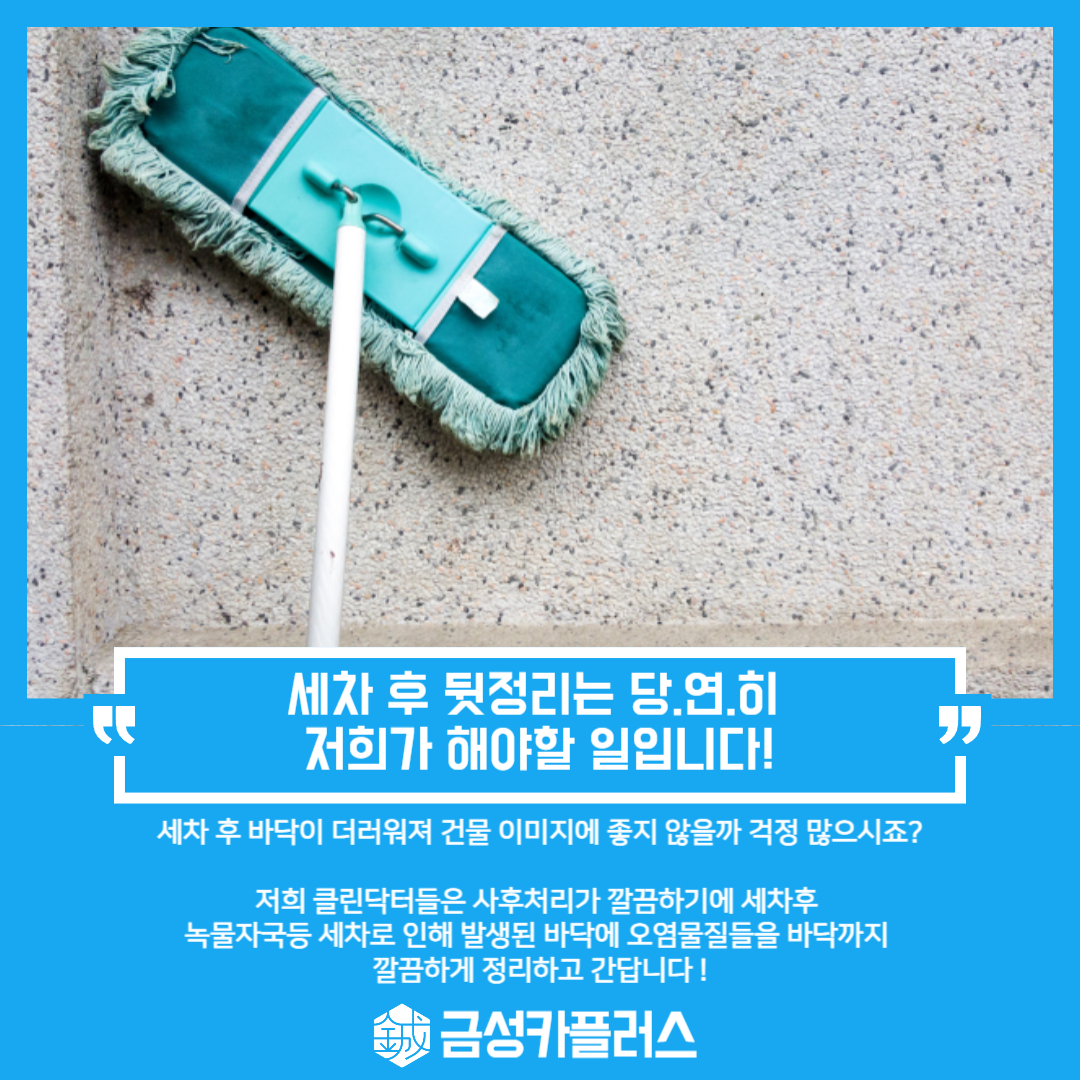 금성카플러스