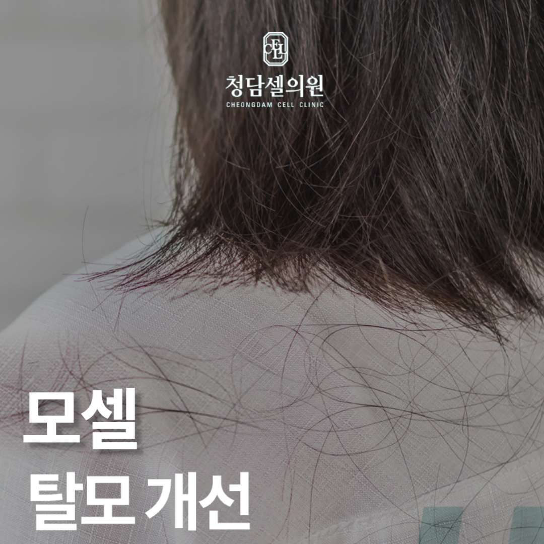 청담셀의원 대표 이미지