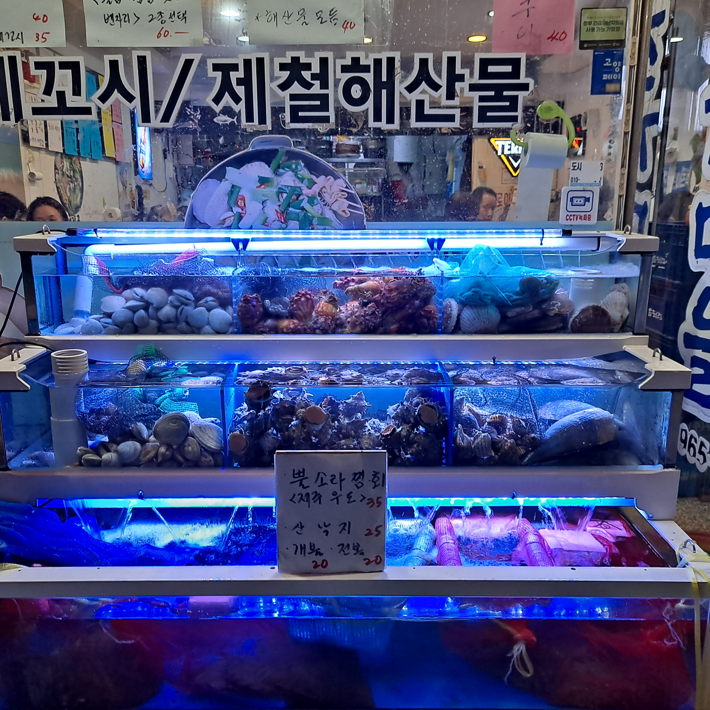 조개마을