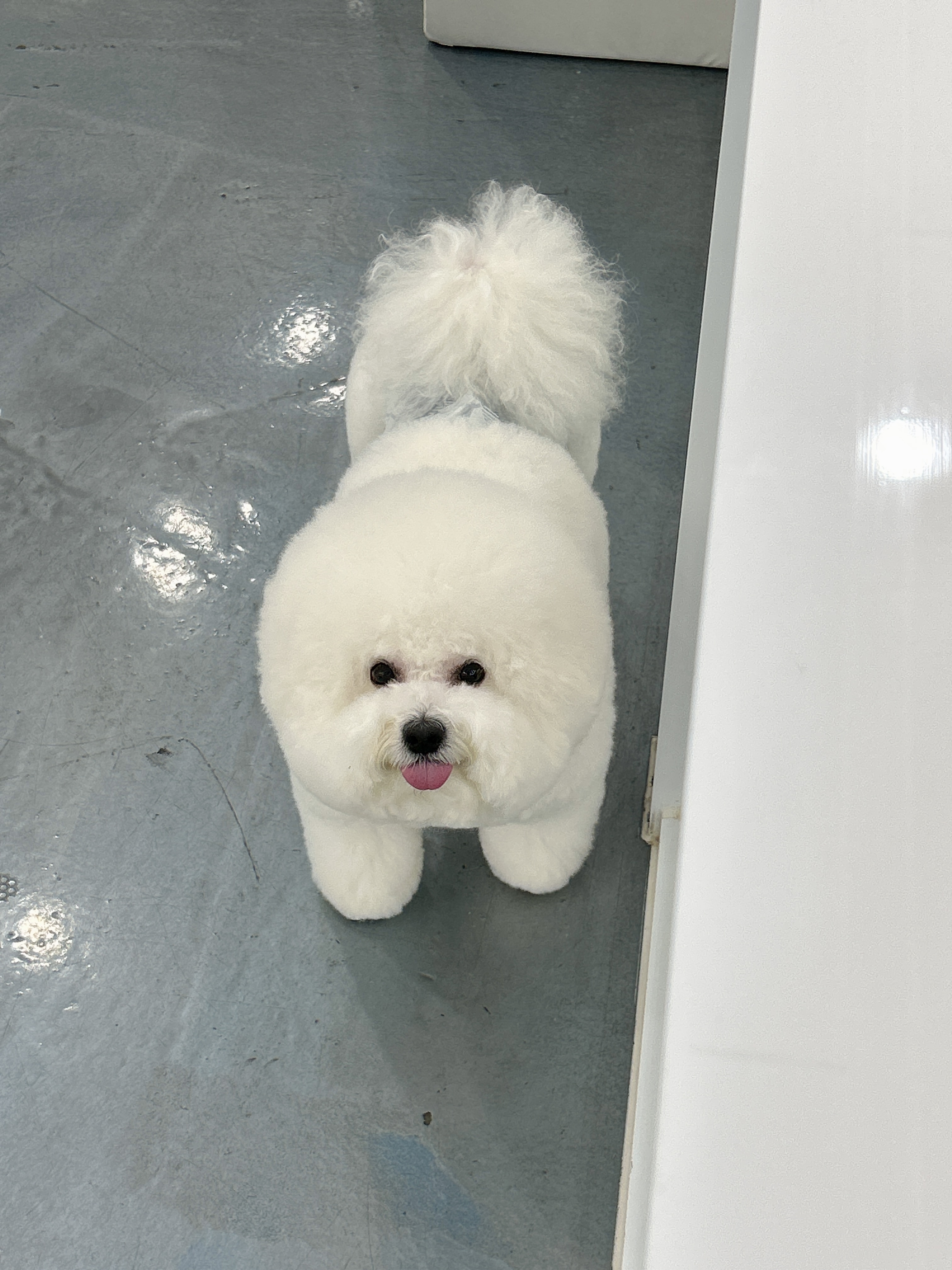 쁘리에숑