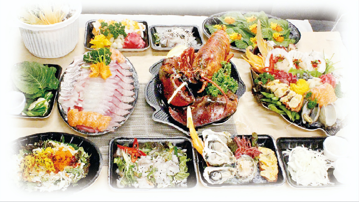 거북이네