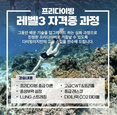 프리다이빙 다이빙이지 강습