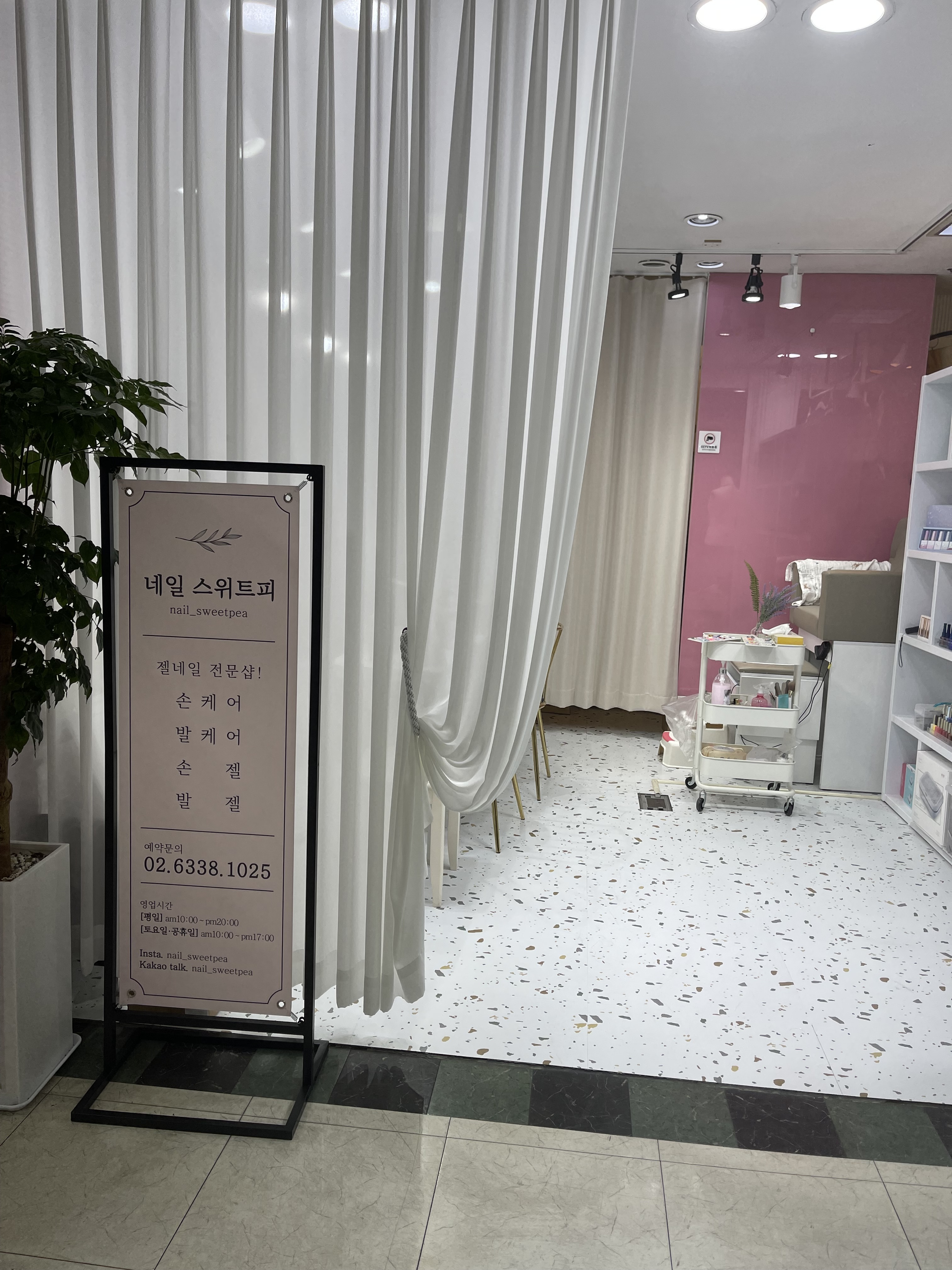 네일 스위트피 대표 이미지