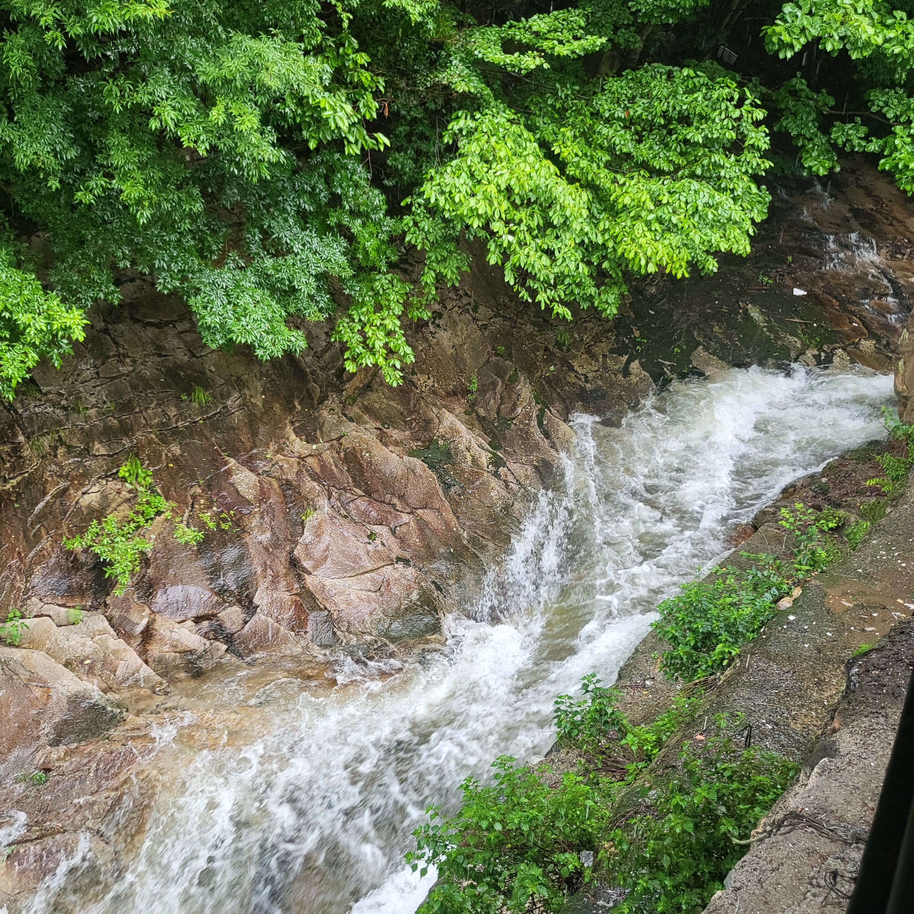 시원산장