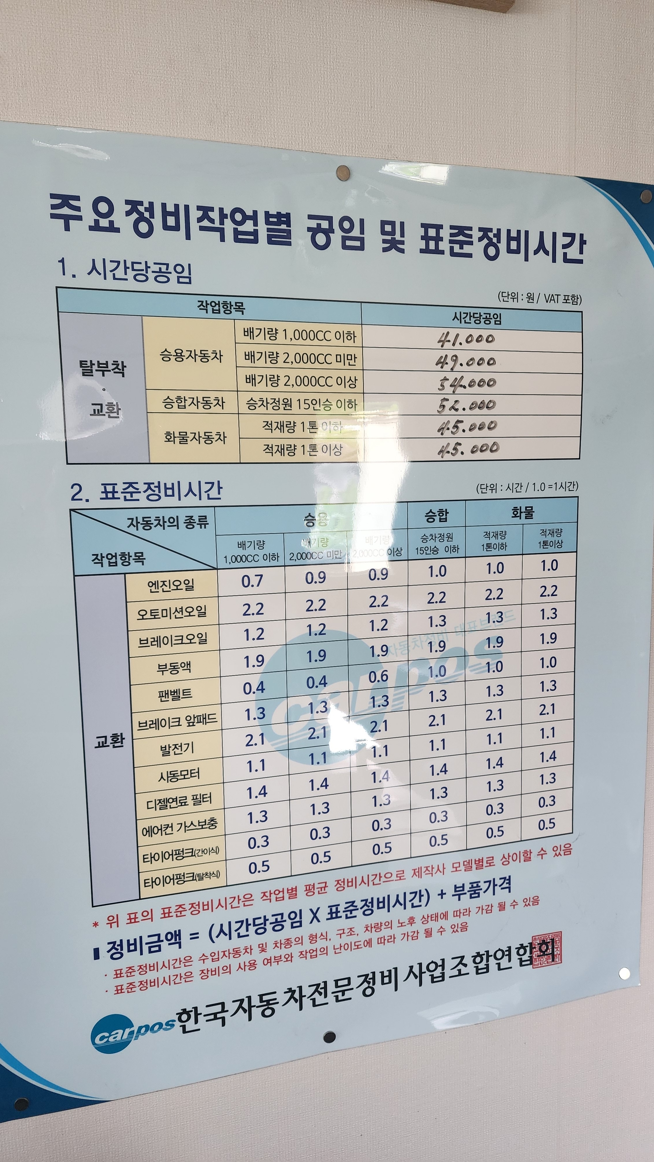 오토오아시스 늘푸른점