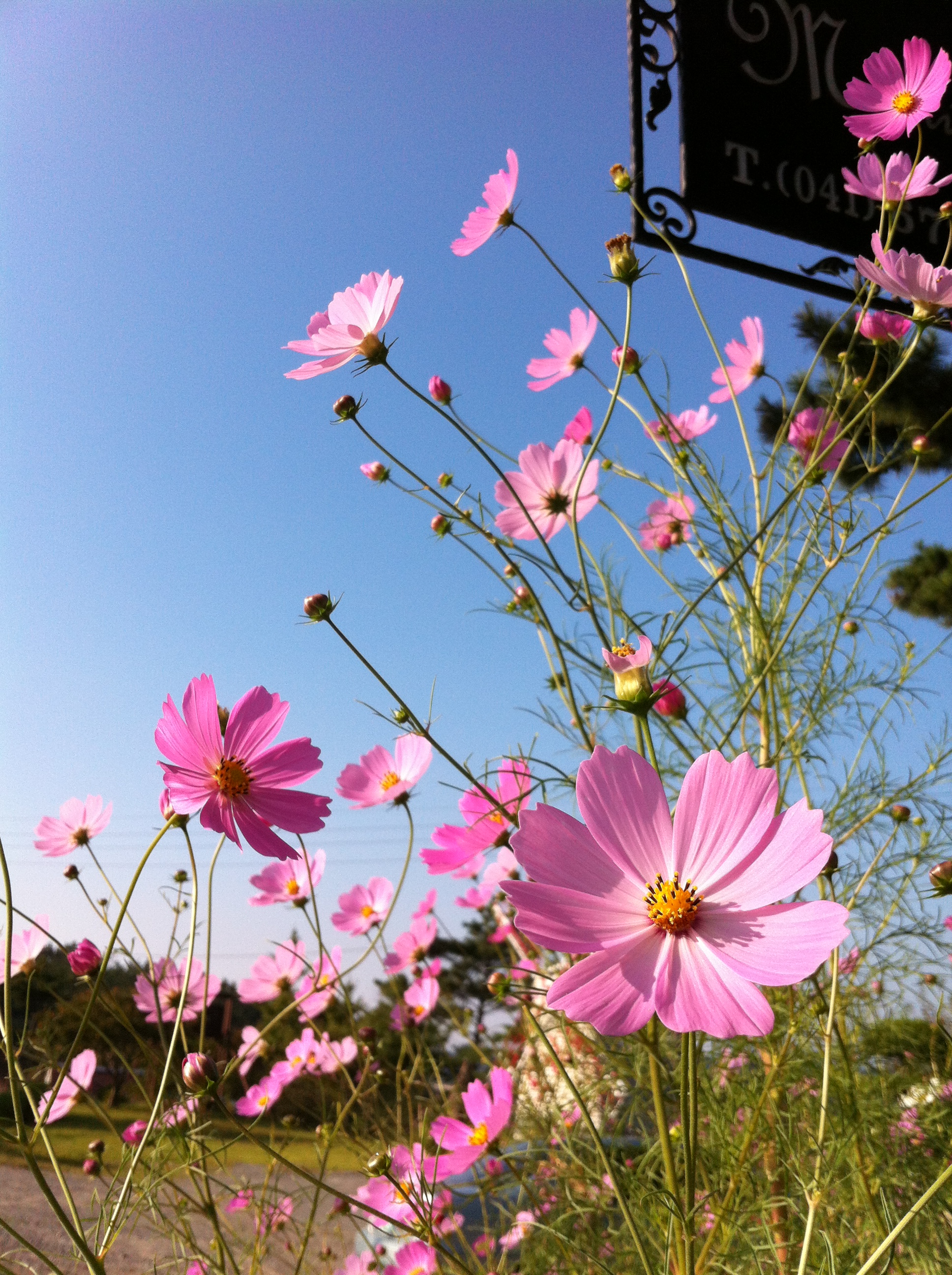 Goseong Sampo Morningville Pension 대표 이미지