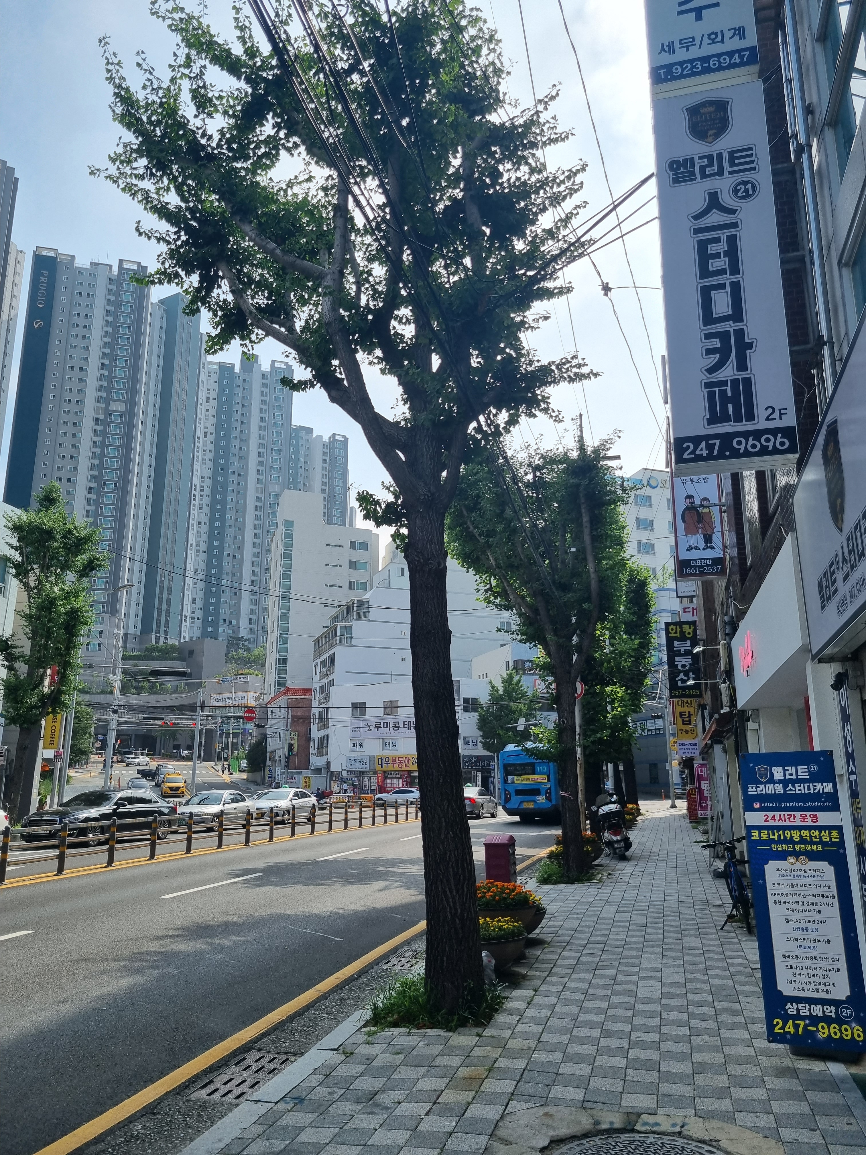 업체사진