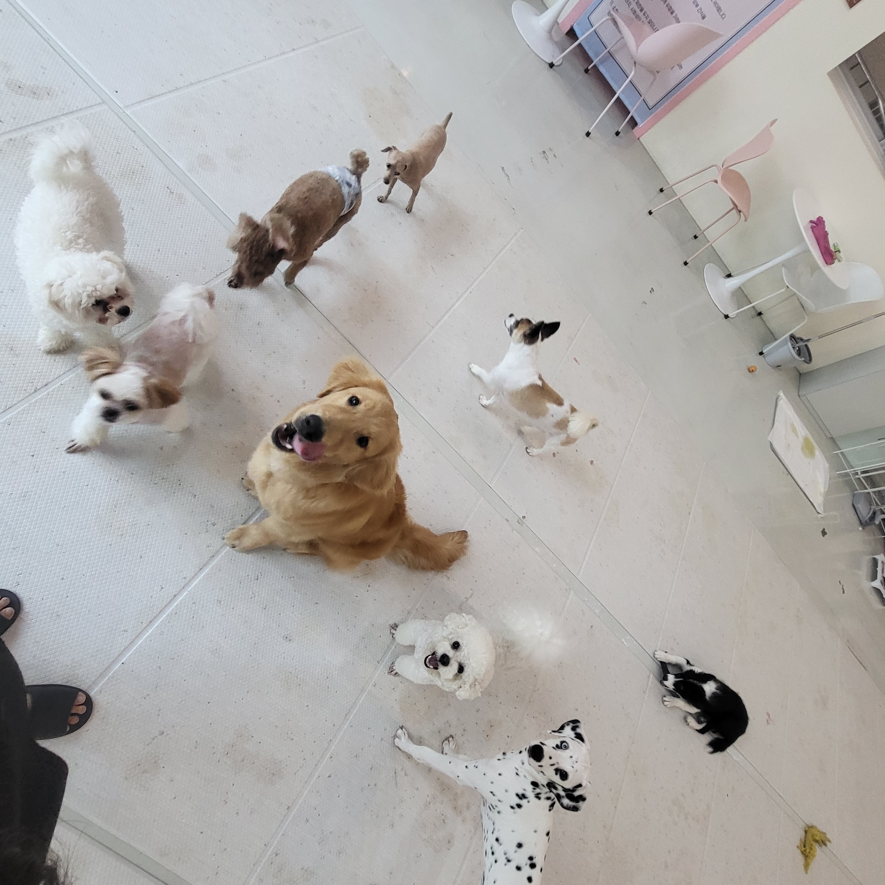 큰댕이네 대표 이미지