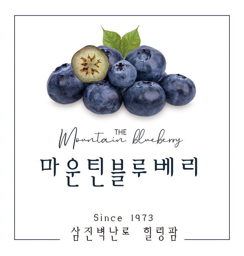 마운틴블루베리팜