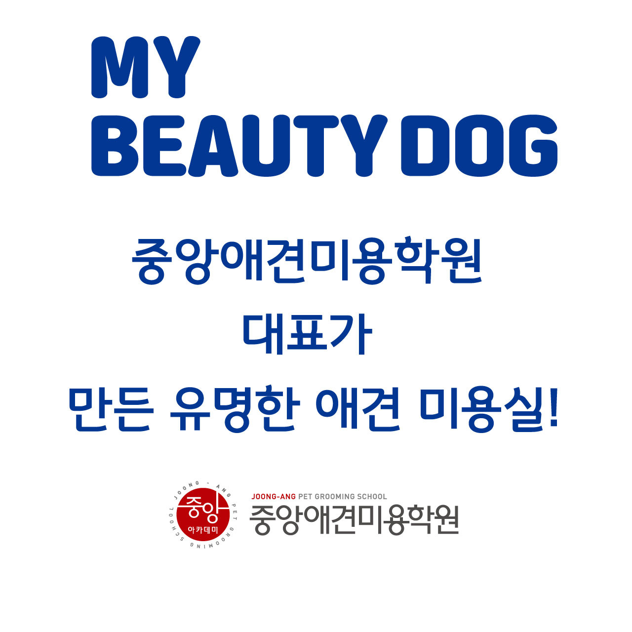 마이뷰티독 광명점 대표 이미지