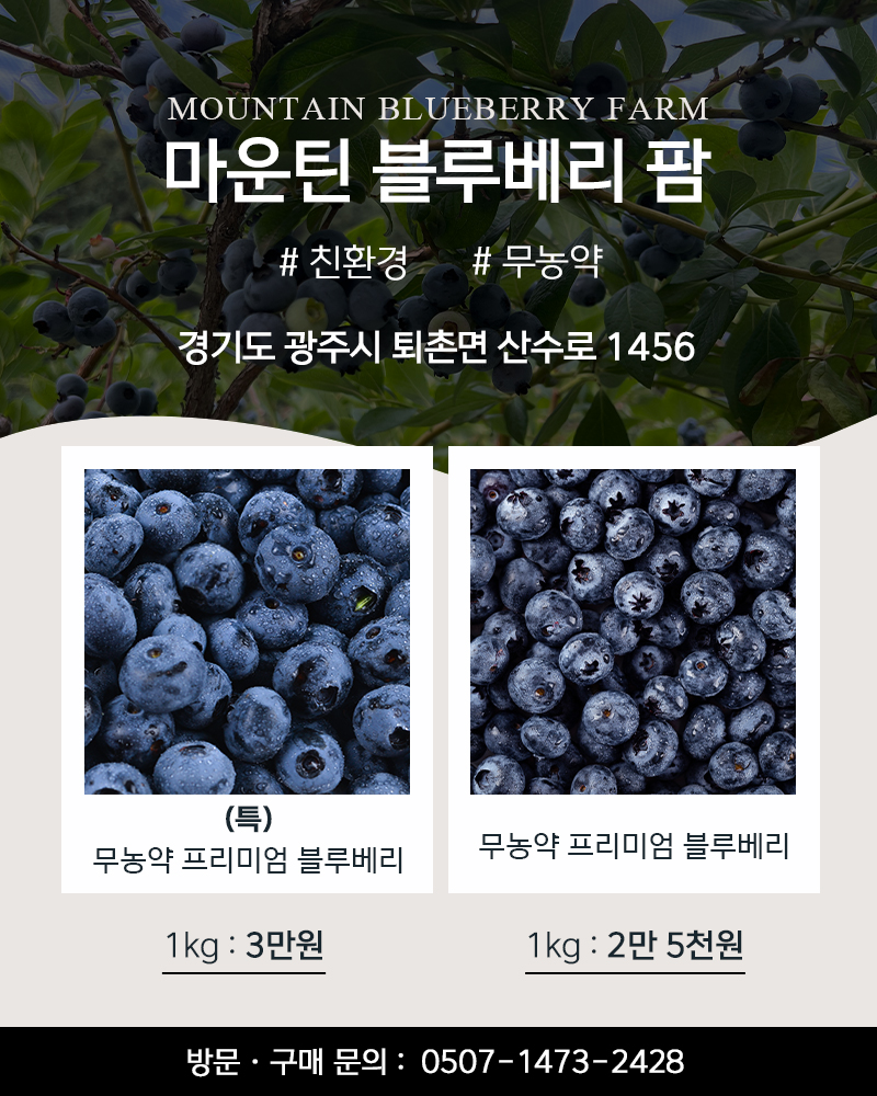 마운틴블루베리팜