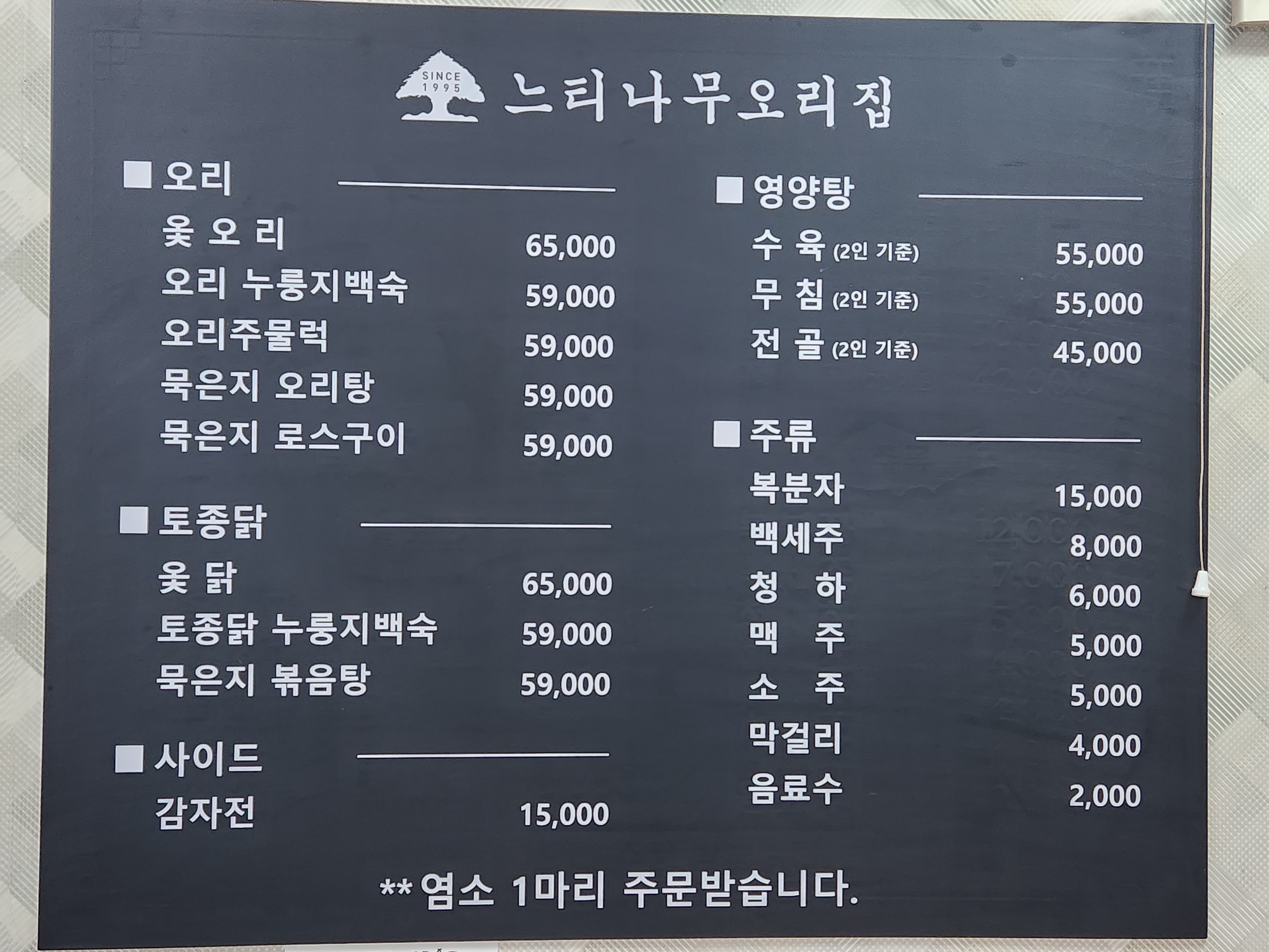느티나무
