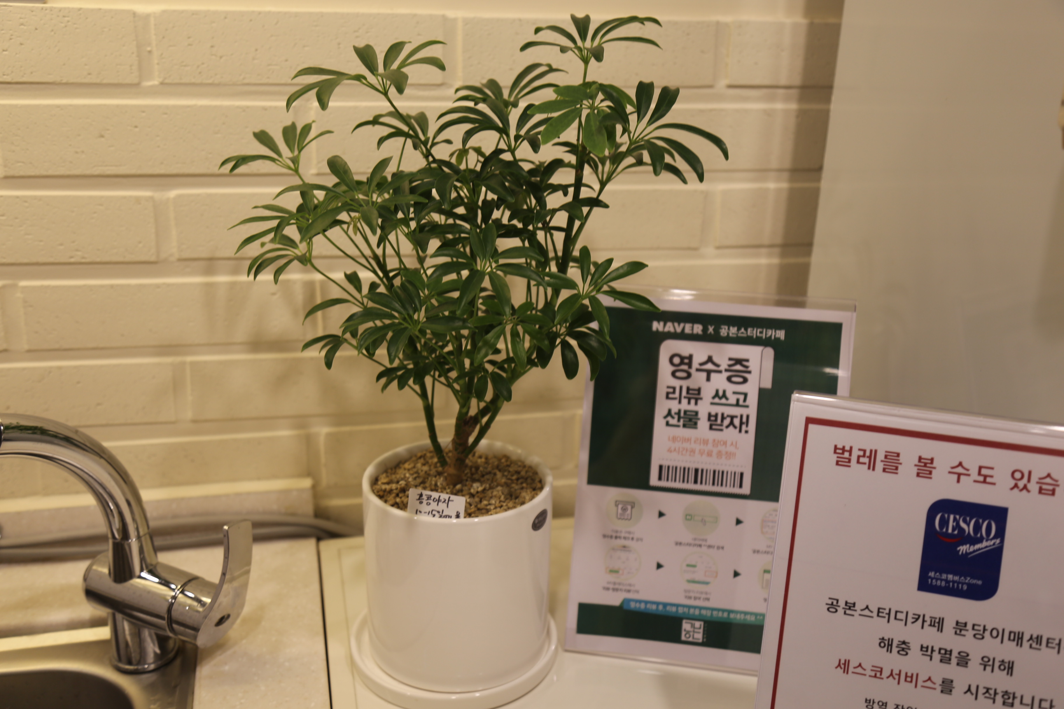 업체사진