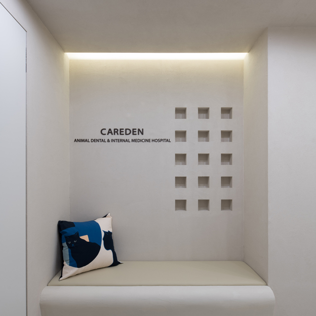 동물치과병원 케어덴 대표 이미지