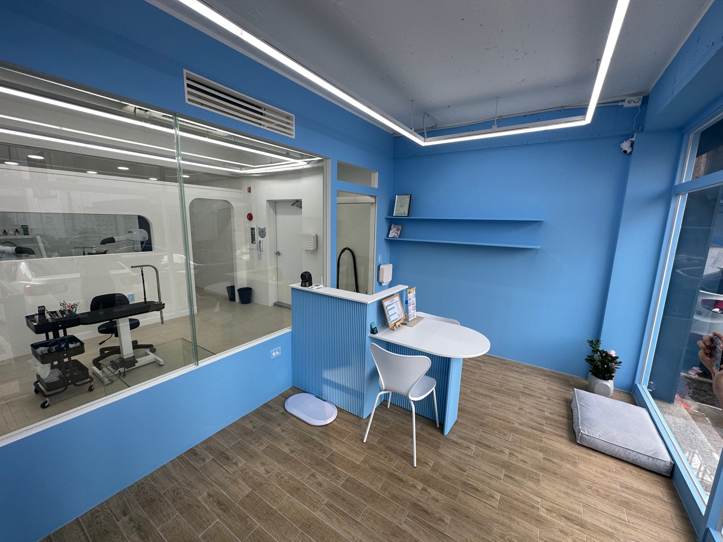 비바시티 대표 이미지