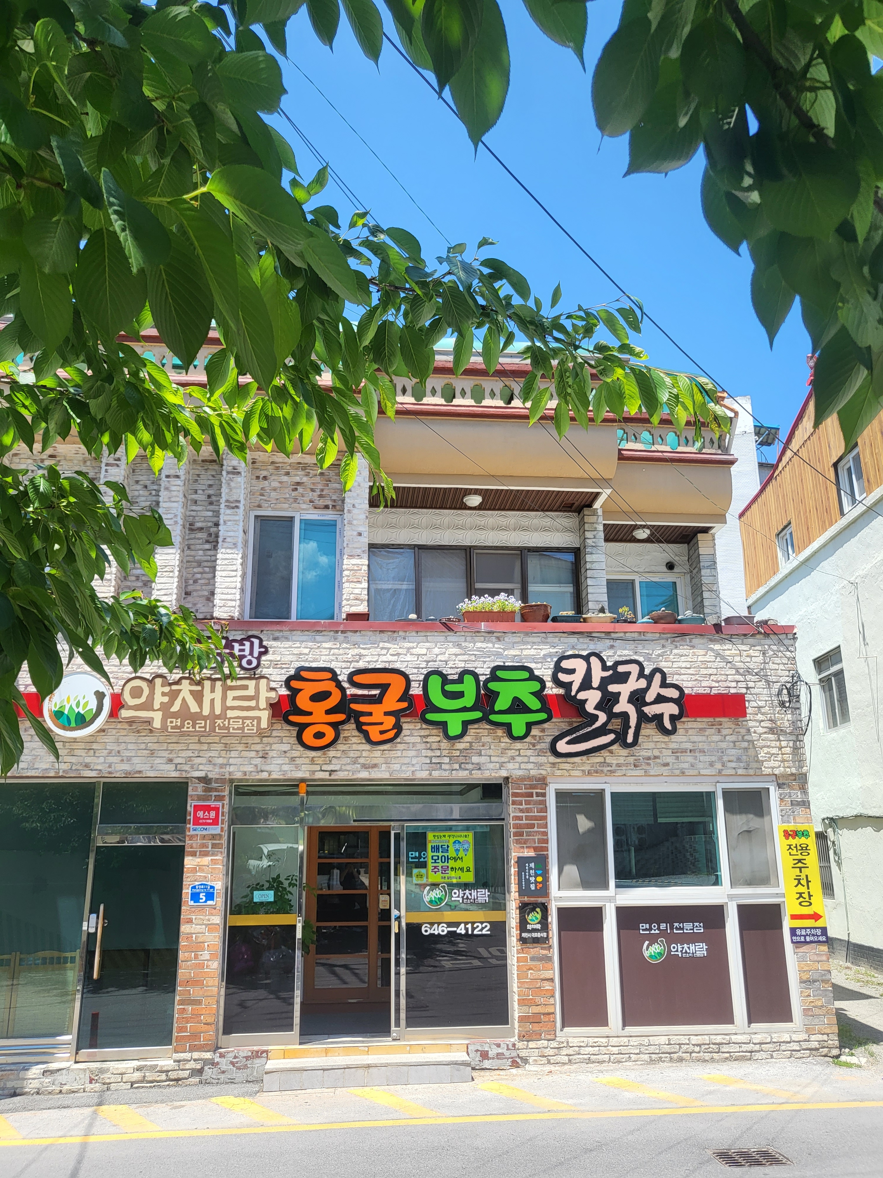 홍굴부추칼국수