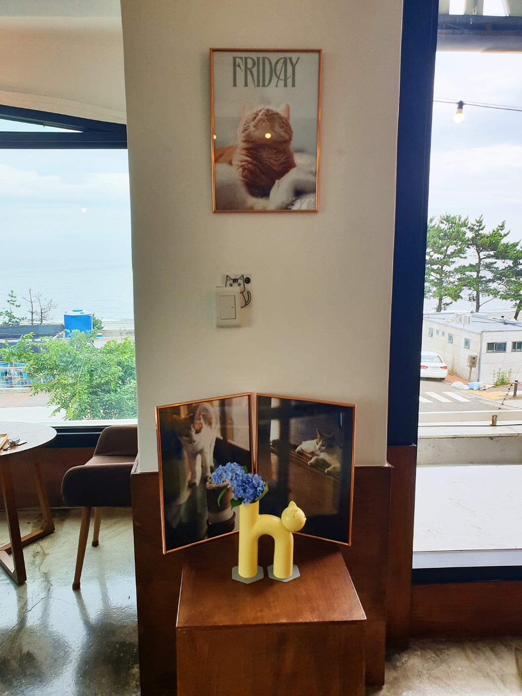 카페트위너스