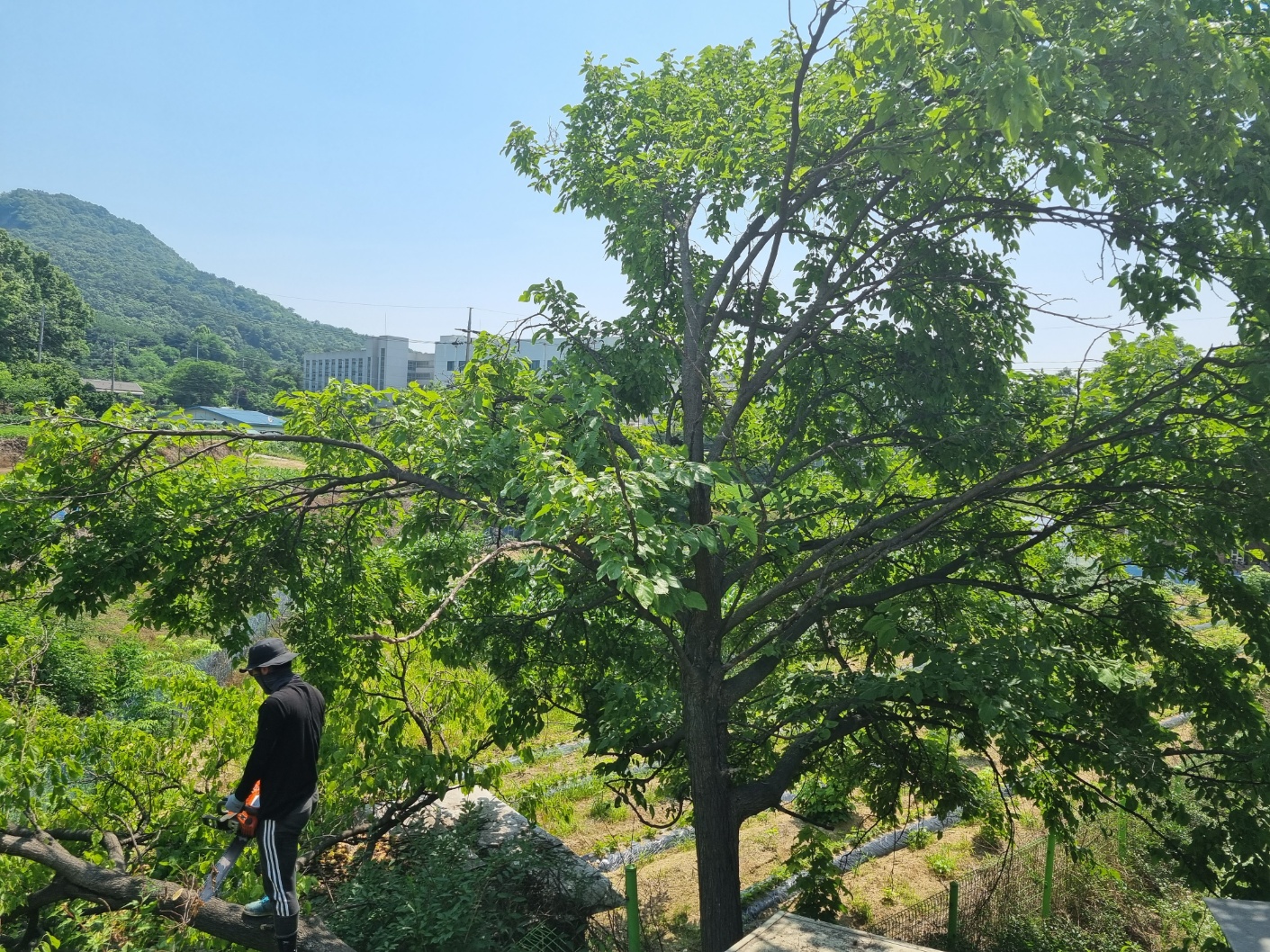 시온조경