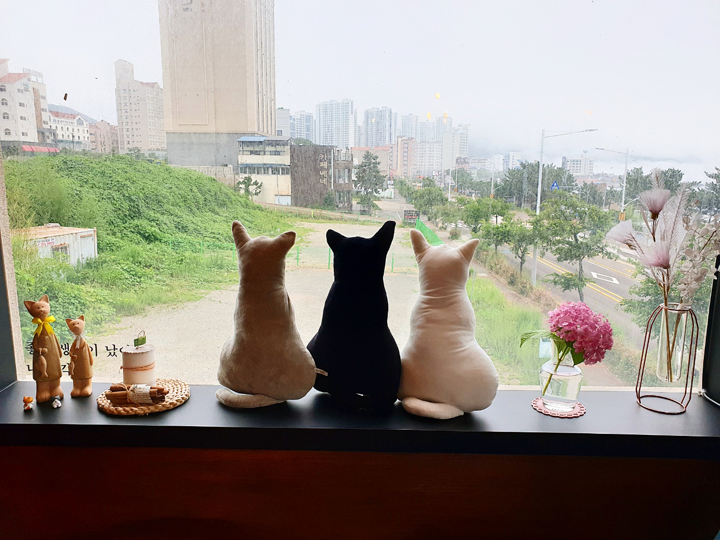 카페트위너스