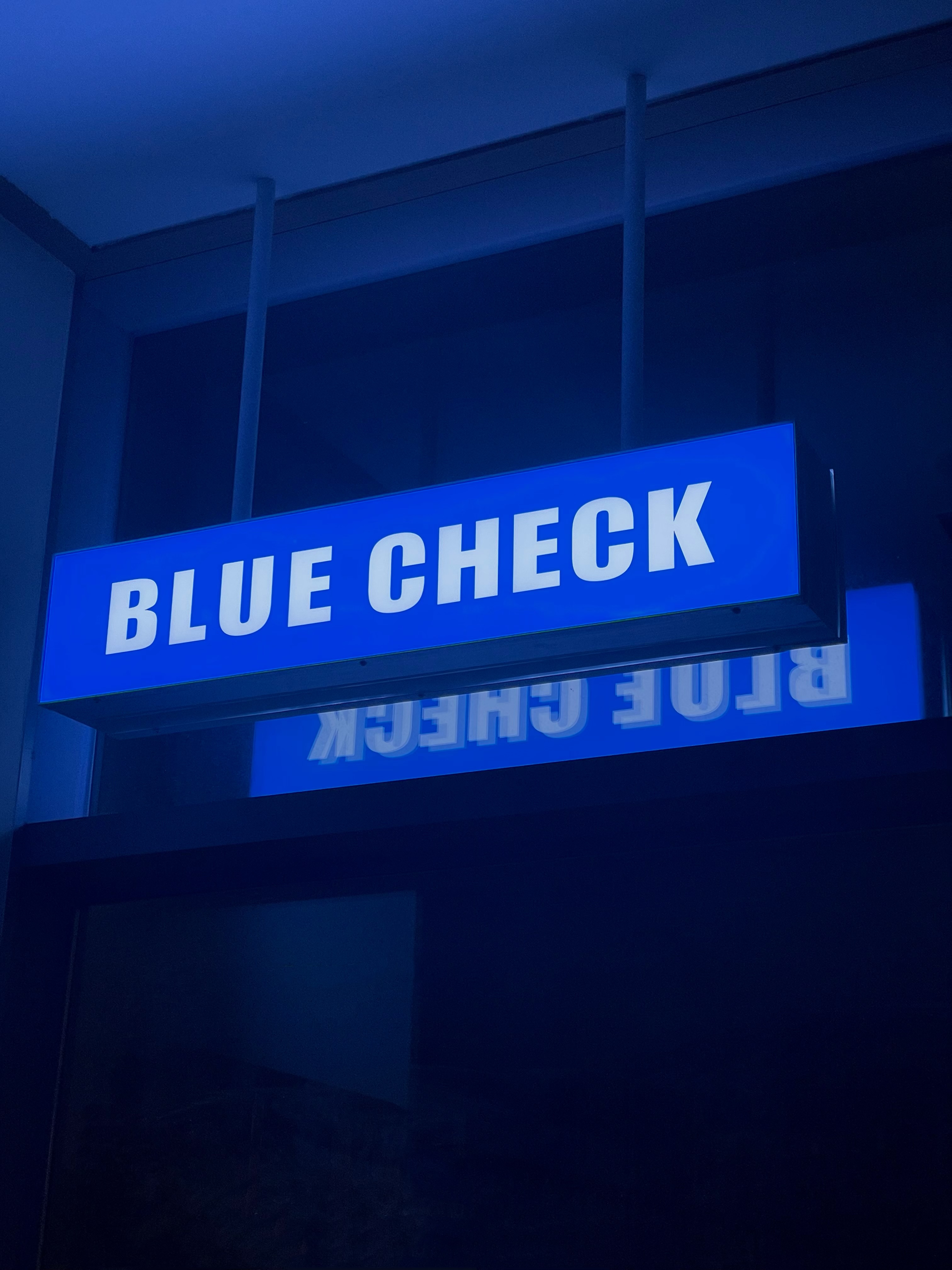 블루체크 대표 이미지