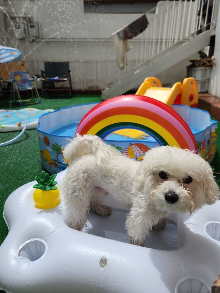 디어코코 대표 이미지