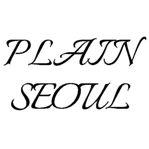 플레인서울