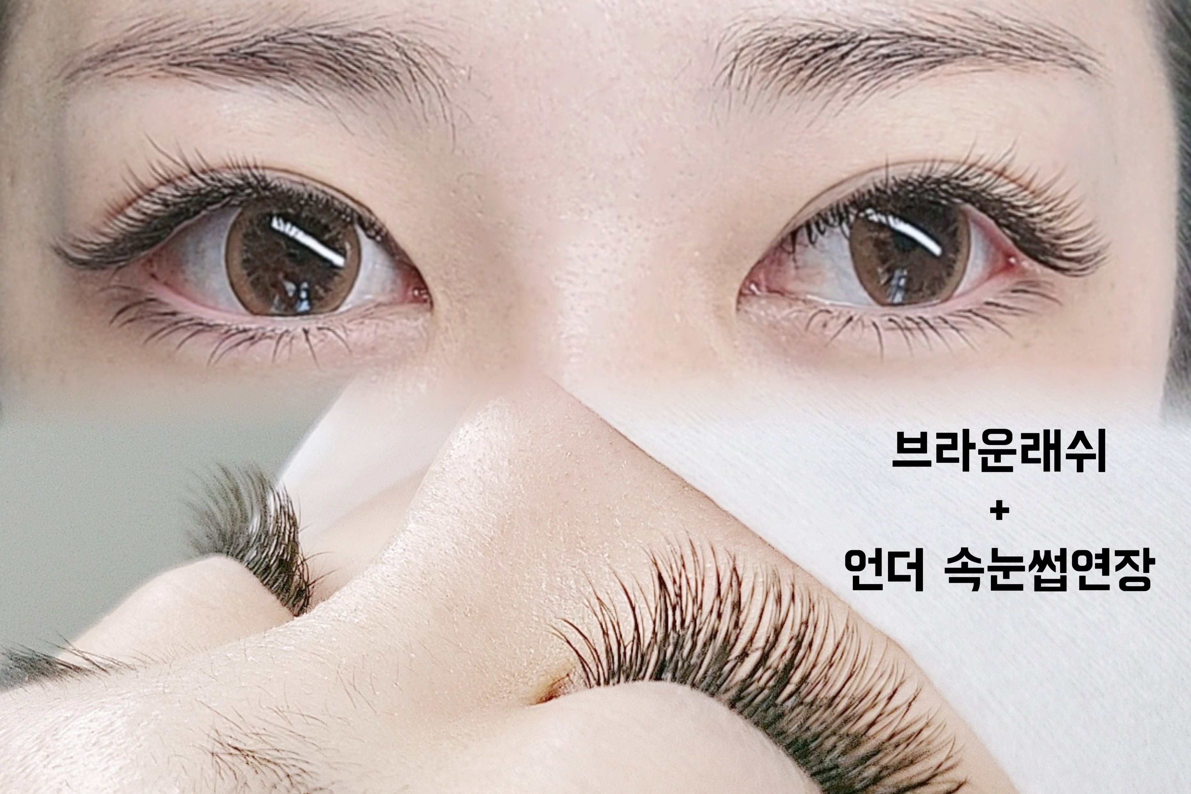아라뷰티