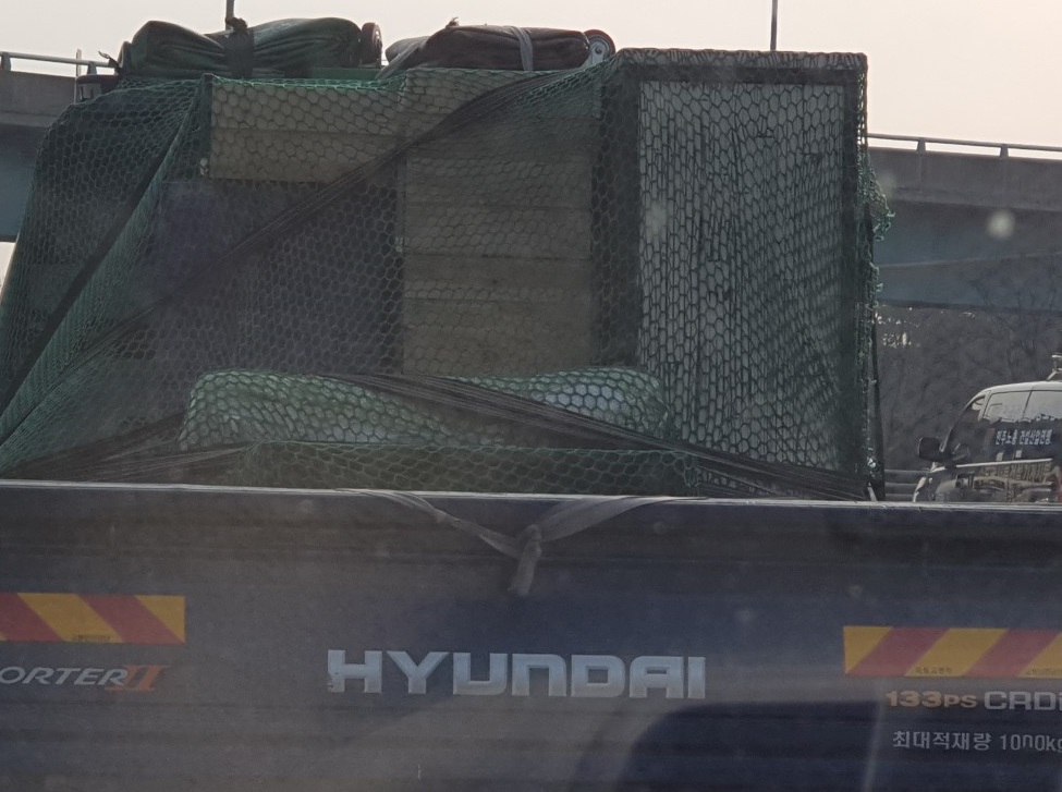 용달이사 대표 이미지